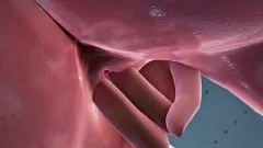 Riproduci 3D Fantasy: Code Valkyrie II - Diteggiatura intensa e scopata dura nella fica